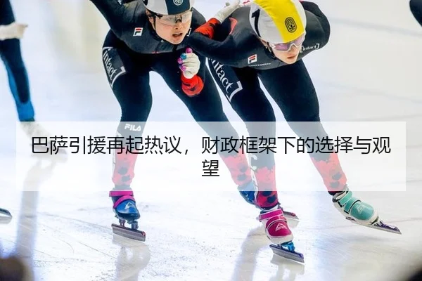 ba-sa-yin-yuan-zai-qi-re-yi-cai-zheng-kuang-jia-xia-de-xuan-ze-yu-guan-wang-2-812.jpg